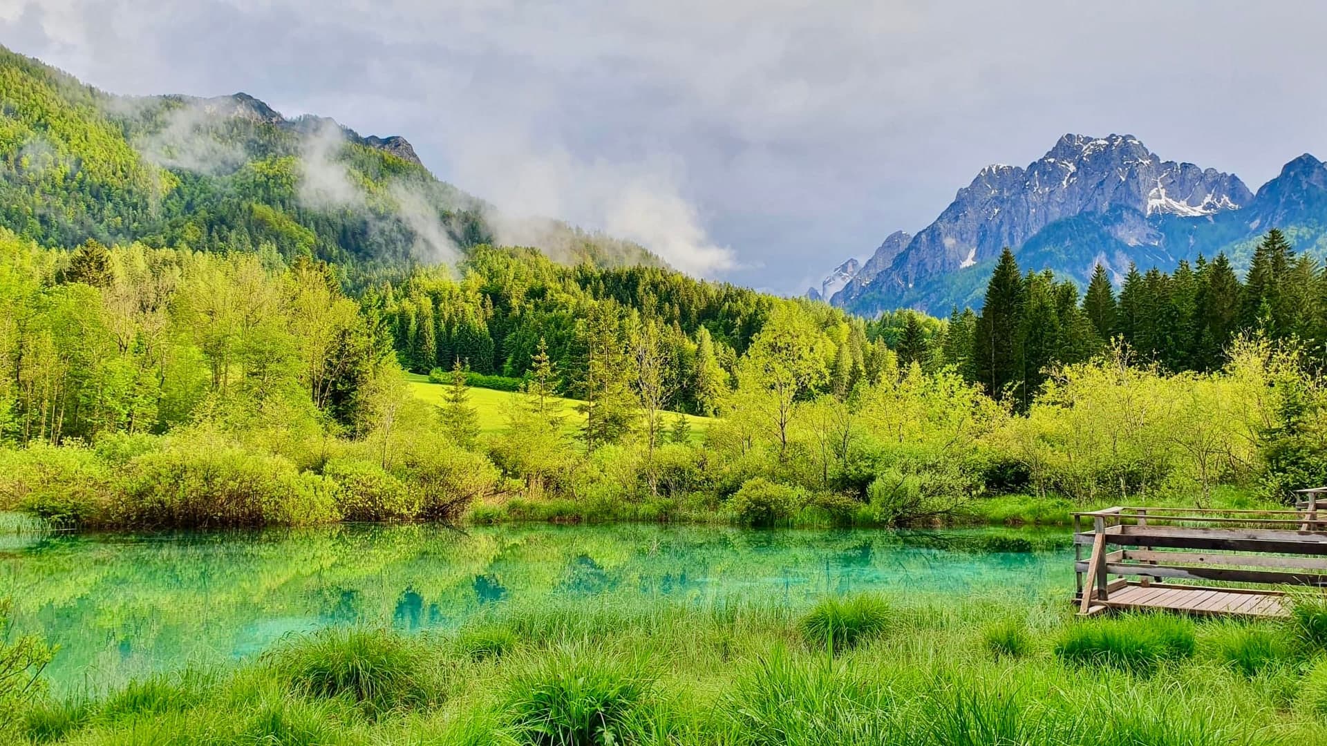 Warum Natur das Nervensystem beruhigen kann