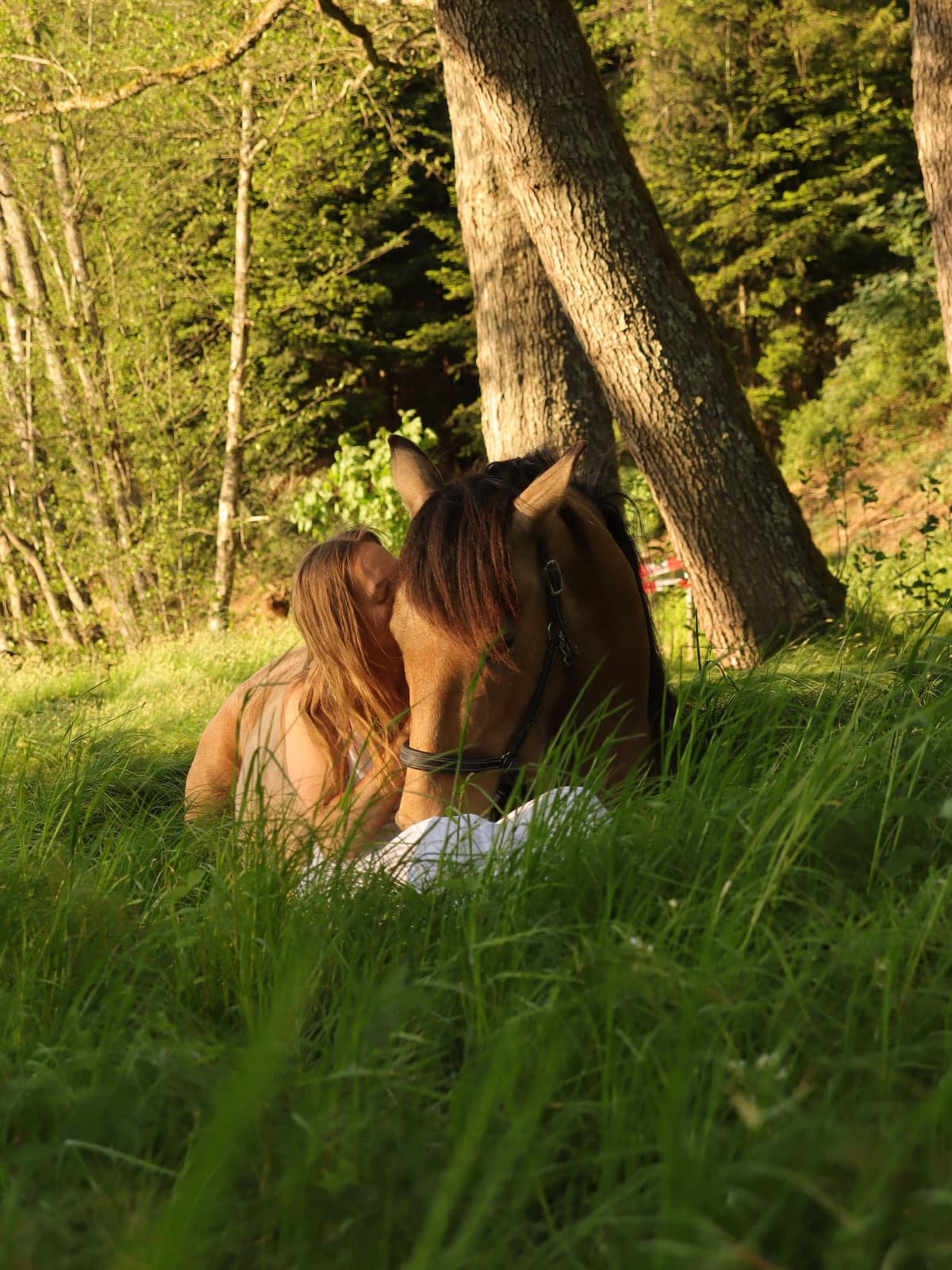 Vertrauensvolle Begegnung zwischen Mensch und Pferd in der Natur